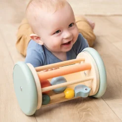 Aktivitets- & rullespejl - Birdee - Farvemix