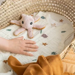 Rangle - Jelly - Pudder