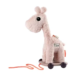 Trækdyr - Raffi - Pudder